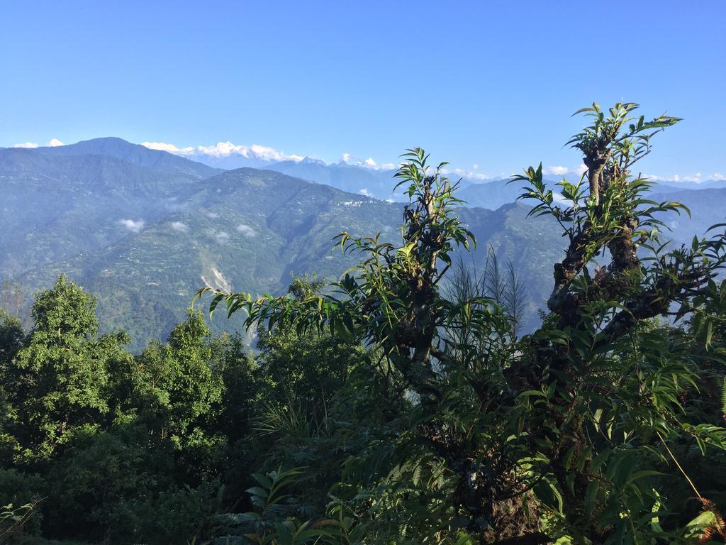 Shikher Kalimpong Buitenkant foto