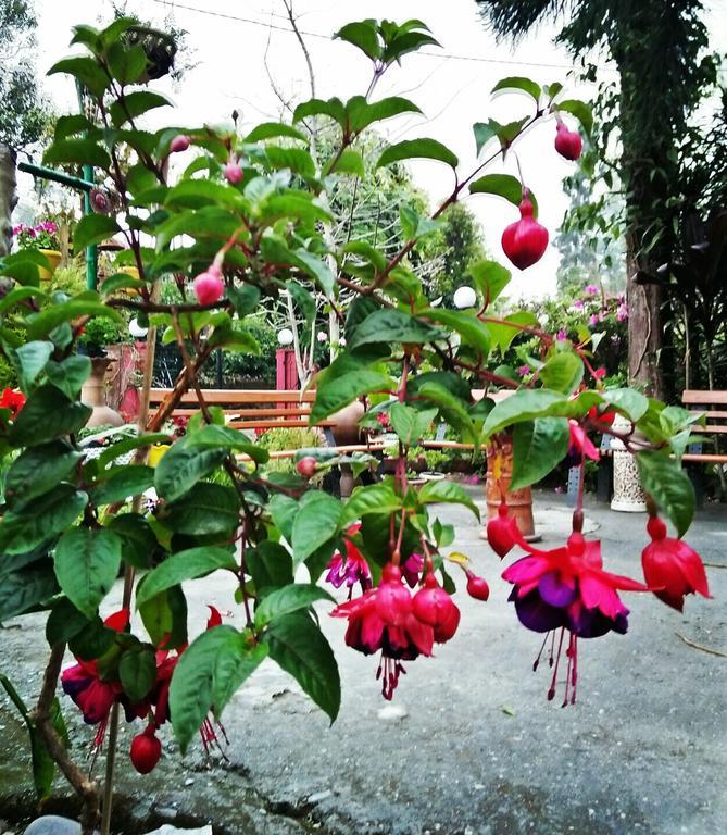 Shikher Kalimpong Buitenkant foto